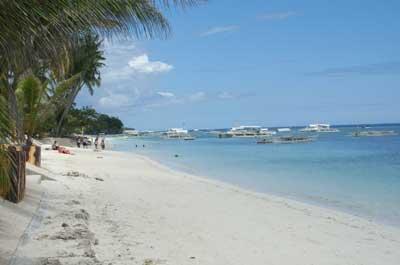 фото отеля Bohol Divers Resort