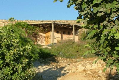 фото отеля Carmey Avdat Farm