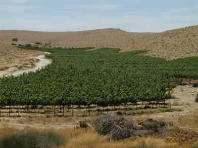 фото отеля Carmey Avdat Farm