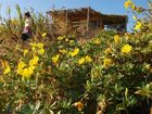 фото отеля Carmey Avdat Farm