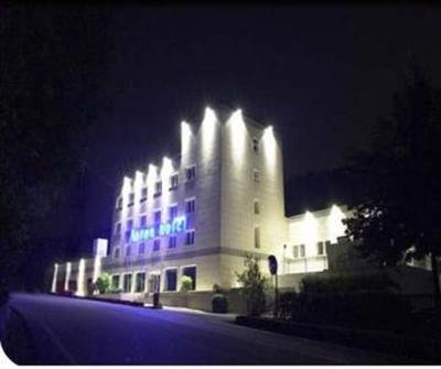 фото отеля Aston Hotel Pino Torinese