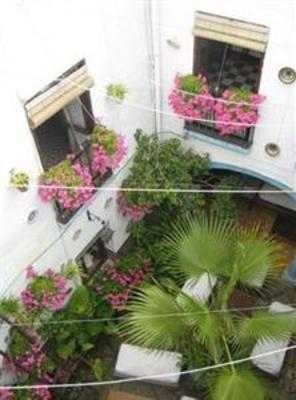 фото отеля Seneca Hostel Cordoba