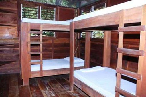 фото отеля Funky Monkey Lodge