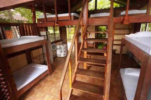 фото отеля Funky Monkey Lodge