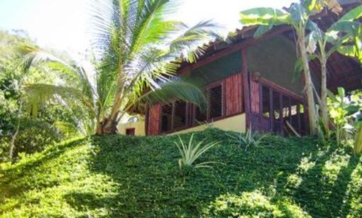 фото отеля Funky Monkey Lodge