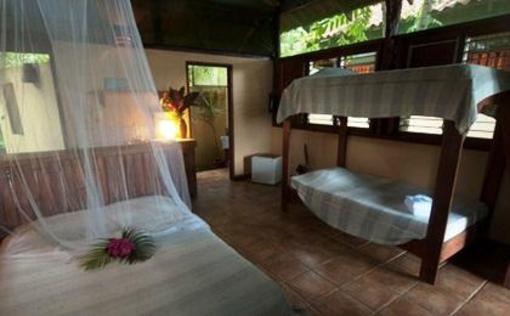 фото отеля Funky Monkey Lodge