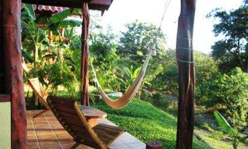 фото отеля Funky Monkey Lodge