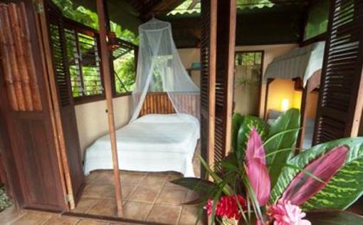 фото отеля Funky Monkey Lodge
