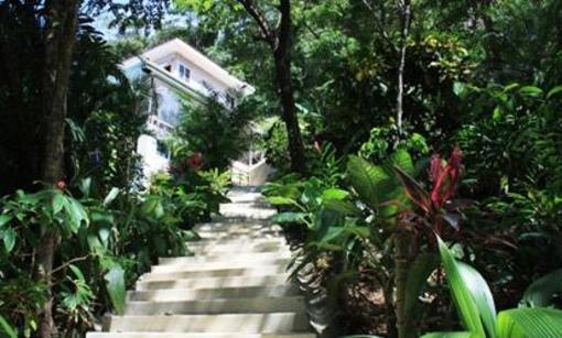 фото отеля Funky Monkey Lodge