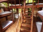 фото отеля Funky Monkey Lodge