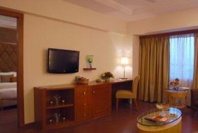 фото отеля Lords Plaza Hotel Ankleshwar