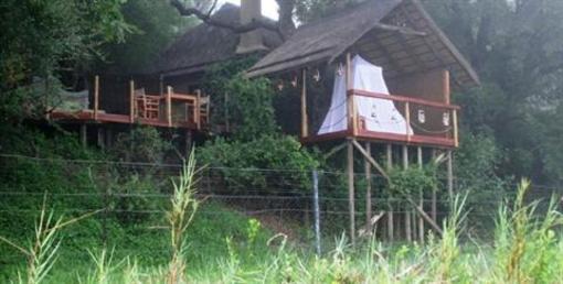 фото отеля Jock Safari Lodge