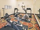 фото отеля Holiday Inn Express Hotel & Suites Corsicana