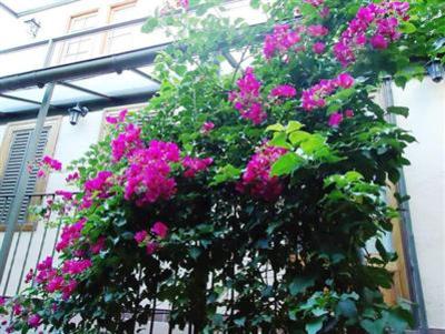 фото отеля Rugantino Hotel