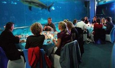 фото отеля Sea World Resort