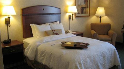 фото отеля Hampton Inn Buffalo Airport