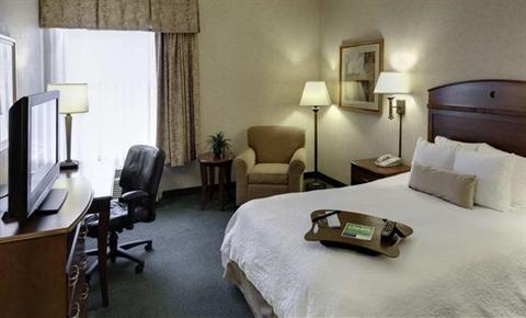 фото отеля Hampton Inn Buffalo Airport