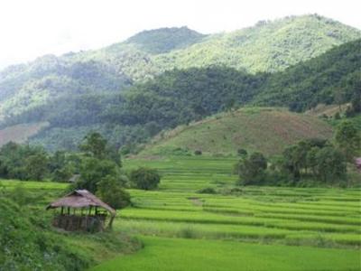 фото отеля Homestay Chiang Rai Resort