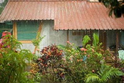 фото отеля Whistling Bird Resort Negril