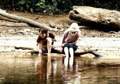 фото отеля Mutiara Taman Negara