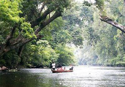 фото отеля Mutiara Taman Negara