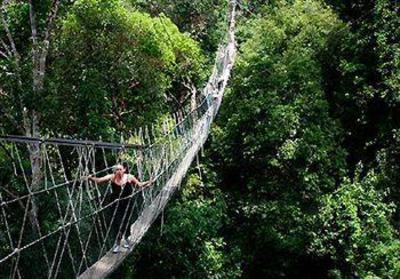 фото отеля Mutiara Taman Negara