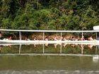 фото отеля Mutiara Taman Negara