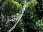 фото отеля Mutiara Taman Negara