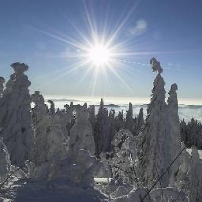 фото отеля Naturhotel Gidibauer Hof Hauzenberg