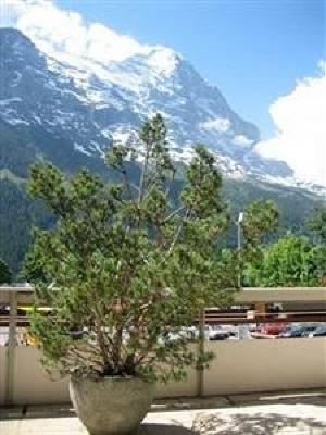 фото отеля Hotel Bernerhof Grindelwald