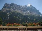 фото отеля Hotel Bernerhof Grindelwald