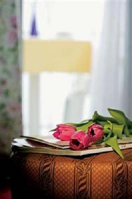 фото отеля Hotel Istra Opatija
