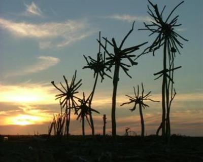 фото отеля Birdsong Backpackers