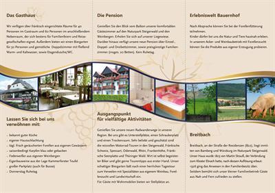 фото отеля Gasthaus und Pension zur Traube