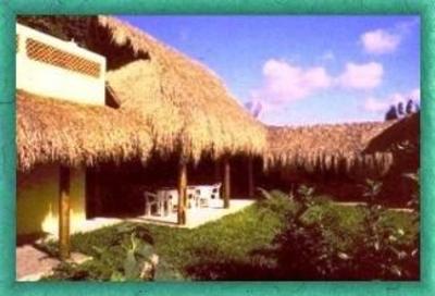 фото отеля Amigos Hostel Cozumel