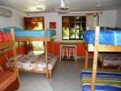 фото отеля Amigos Hostel Cozumel