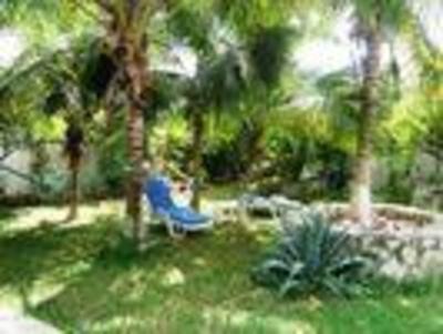 фото отеля Amigos Hostel Cozumel