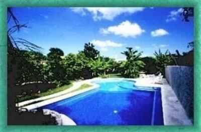 фото отеля Amigos Hostel Cozumel
