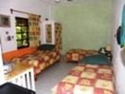 фото отеля Amigos Hostel Cozumel