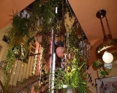 фото отеля Gasthof Zum Verkauften Grossvater