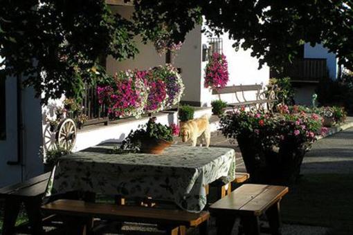 фото отеля Merlhof