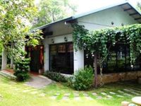 Liping Organic Tea Farm Bed & Breakfast