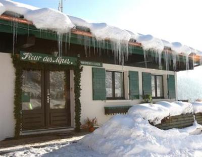 фото отеля Chalet Fleur des Alpes