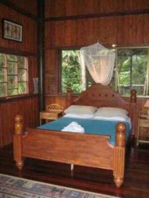 фото отеля Epiphyte B&B