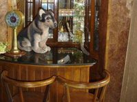 Bed & Breakfast Ambience Abode-- Premium Home Stay TBD