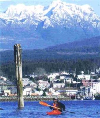 фото отеля Tsunami Backpackers Guesthouse - Port Alberni