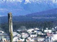 Tsunami Backpackers Guesthouse - Port Alberni