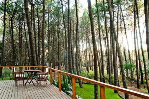 фото отеля Hosteria La Foret