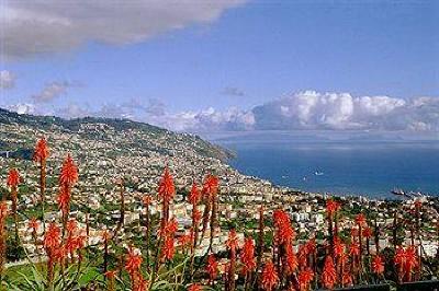 фото отеля Madeira Panoramico Hotel