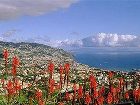 фото отеля Madeira Panoramico Hotel